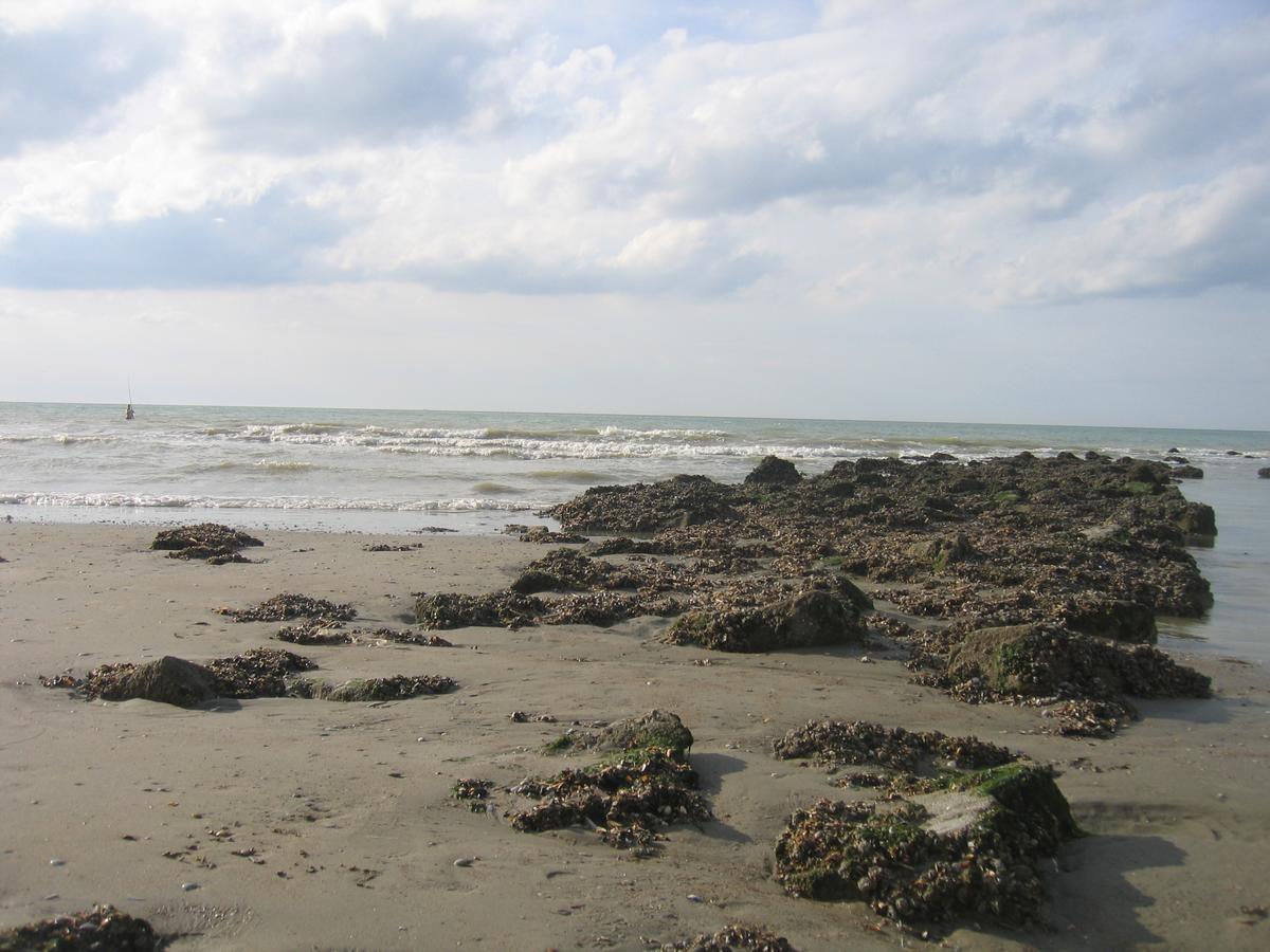 Koksijde L'Abbaye公寓 外观 照片